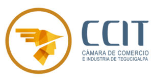 logo ccit