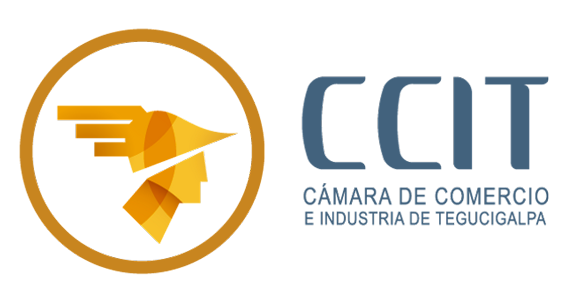 logo ccit